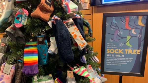 sock tree, community, WNPL Staff Association