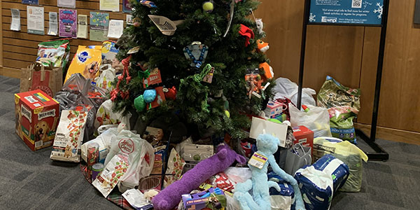 Pet Supply Tree, donations, lobby, community, Staff Association