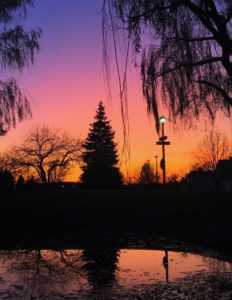 neighborhood during beautiful sunset, sky blends from indigo to orange on the horizon
