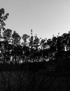 Grey sky with silhouetted trees and a small house