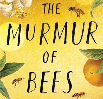 The Murmur of Bees book cover