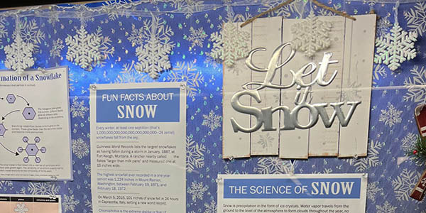 The Science of Snow