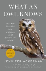 picture of a barn owl sitting on a tree limb
