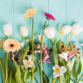 Variety of flowers scattered across aqua background