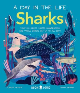 Ocean scene with several different species of sharks