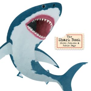 Underside of a shark baring its teeth
