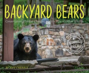 Photo of a black bear cub in front of a rocky mountain