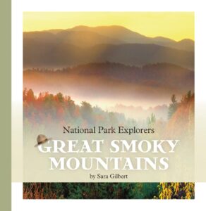 Picture overlooking a misty valley in the Great Smoky Mountains