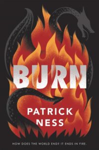 Book cover for Burn. On the cover there are flames, a dragon, and the title of the book.